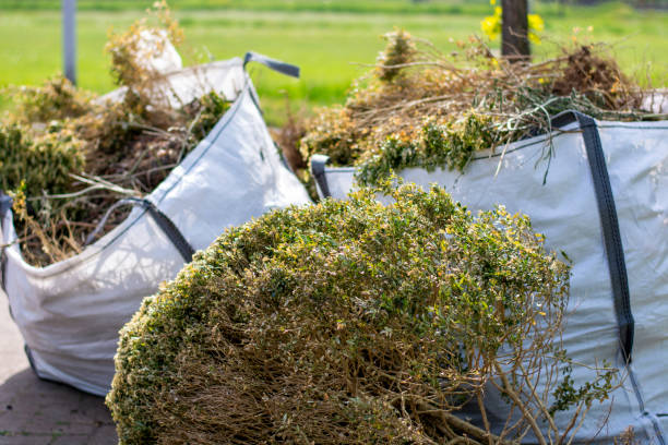 Best Professional Junk Removal  in Banks Springs, LA